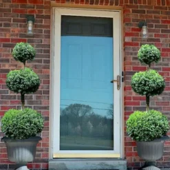 Common Boxwood 3-Ball Poodle Tier Topiary (Buxus Sempervirens) - 5 Gallon Pot -Green Garden Outdoor Shop Boxwood Green Mountain 3 Ball Poodle Tier 3