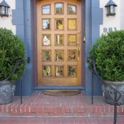 Wintergreen Boxwood - 3 Gallon Pot -Green Garden Outdoor Shop Boxwood Wintergreen 12 2