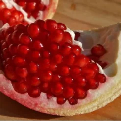 Russian Cold Hardy Pomegranate - 3 Gallon Pot 9 Russian Cold Hardy Pomegranate - 3 Gallon Pot -Green Garden Outdoor Shop Pomegranate Russian 26 Fruit Slice 1