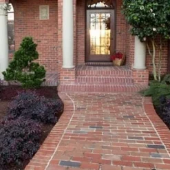 Purple Pixie Loropetalum - 6 Pack Of 1 Gallon Pots -Green Garden Outdoor Shop Purple Pixie Loropetalum Border 1