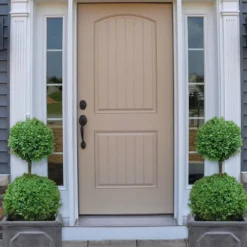 Common Boxwood 2-Ball Poodle Tier Topiary (Buxus Sempervirens) - 3 Gallon Pot (Short) -Green Garden Outdoor Shop boxwood two ball poodle tier 2