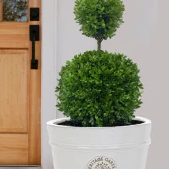 Dwarf English Boxwood Two-Ball Poodle Tier Topiary - 3 Gallon Pot 8 Dwarf English Boxwood Two-Ball Poodle Tier Topiary - 3 Gallon Pot -Green Garden Outdoor Shop buxus sempervirens suffriticosa standard two ball topiary boxwood 5