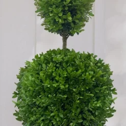 Dwarf English Boxwood Two-Ball Poodle Tier Topiary - 3 Gallon Pot 9 Dwarf English Boxwood Two-Ball Poodle Tier Topiary - 3 Gallon Pot -Green Garden Outdoor Shop buxus sempervirens suffruticosa standard two ball topiary boxwood 10