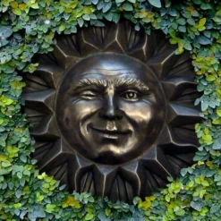 Creeping Fig (Ficus Pumila) - 5 Pack Of Quart Pots 23 Creeping Fig (Ficus Pumila) - 5 Pack Of Quart Pots -Green Garden Outdoor Shop ficus pumila green creeping fig 110