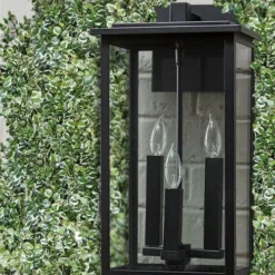 Variegated Creeping Fig - Ficus Pumila 'Variegata' - 5 Pack Of Pint Pots -Green Garden Outdoor Shop ficus pumila variegata creeping fig 102 1