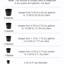 Easy Elegance Kashmir Rose - 3 Gallon Pot -Green Garden Outdoor Shop pot size chart 2022 16