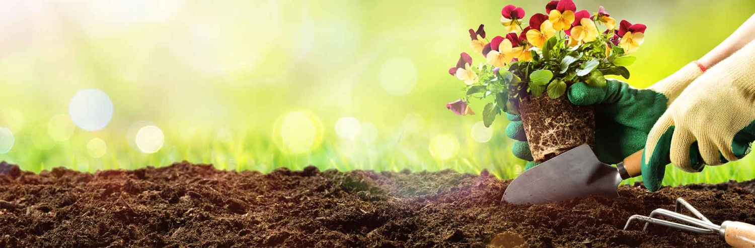 Green Garden Outdoor Shop -Green Garden Outdoor Shop dsg